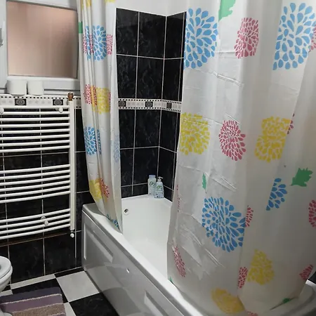 Am Mladenovic Apartment *