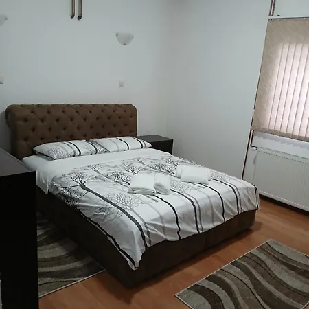 Am Mladenovic Apartment