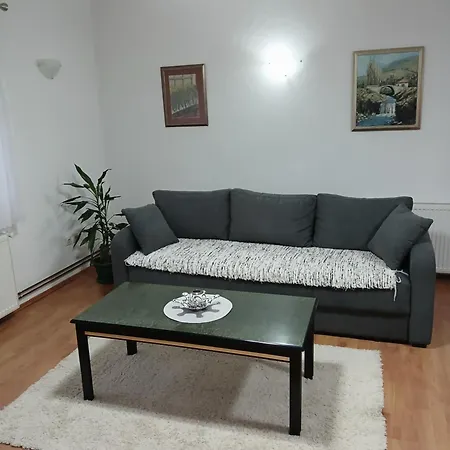 Apartment Am Mladenovic