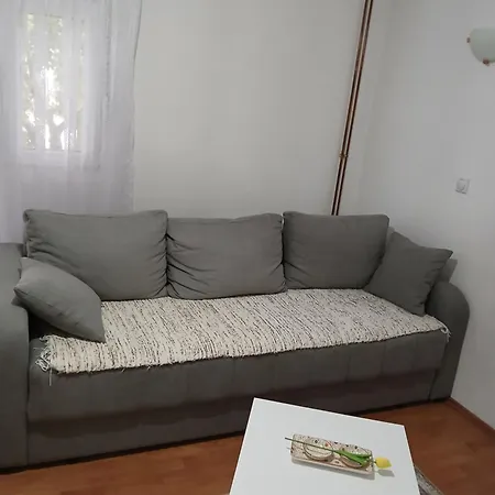 Am Mladenovic Apartment *